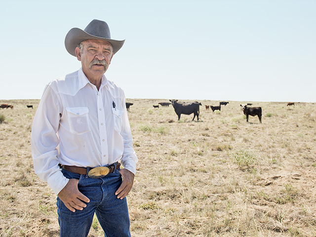 Guy Gould, head of Coloradoâ€™s Gould Ranch Cattle Co., is one of a small number of breeders of Irish Black and Irish Red cattle, Image by Joel Reichenberger